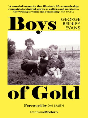 cover image of Boys of Gold